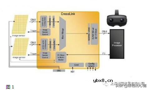 肖特基二极管结构和内电路