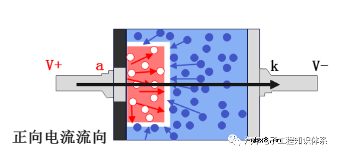 一文详解二极管正向偏置