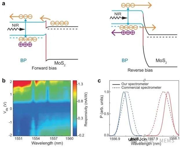 基于范德华隧道二极管的宽带微型光谱仪开发