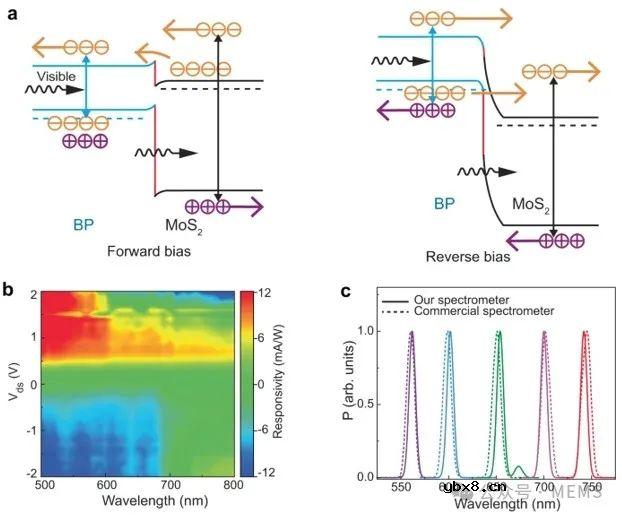 基于范德华隧道二极管的宽带微型光谱仪开发