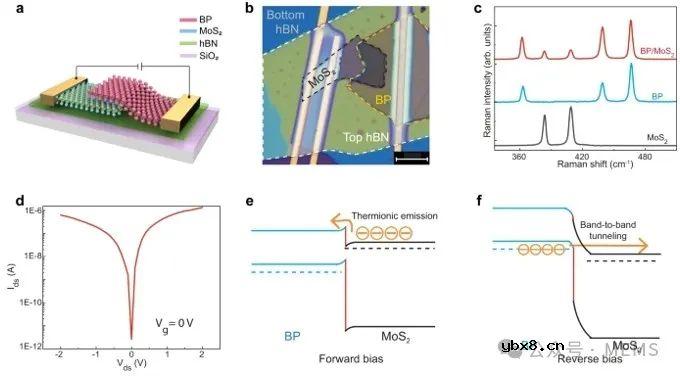 基于范德华隧道二极管的宽带微型光谱仪开发