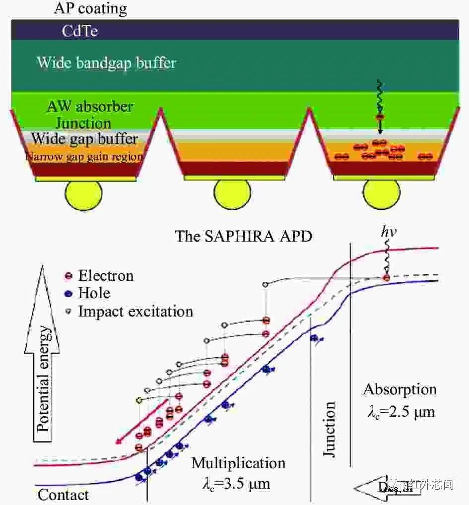 碲镉汞光子计数型线性雪崩探测器