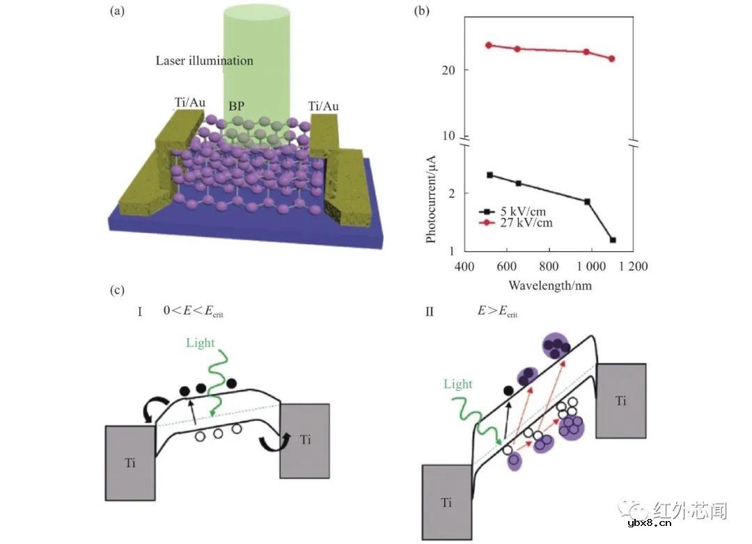 高增益红外单光子探测技术研究进展