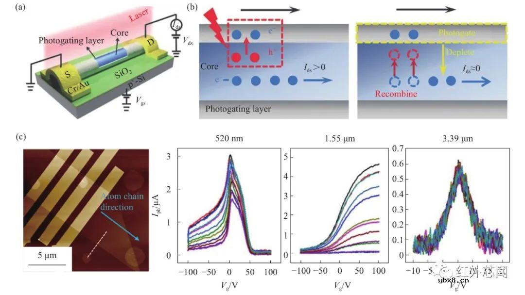 高增益红外单光子探测技术研究进展