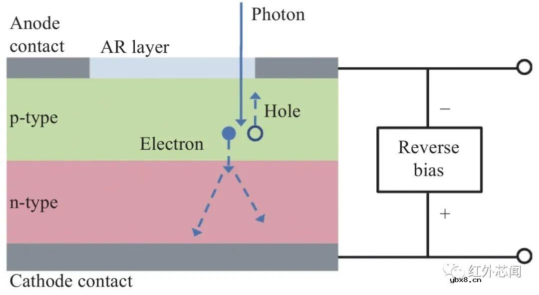 高增益红外单光子探测技术研究进展