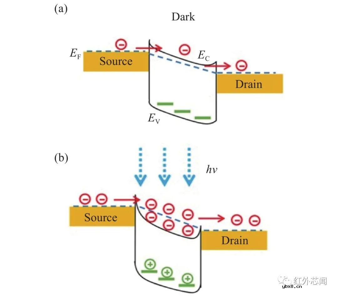 高增益红外单光子探测技术研究进展