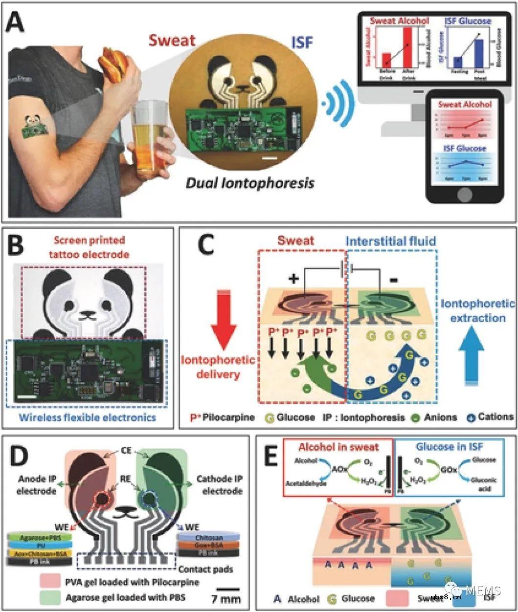 重塑医疗保健行业的可穿戴生物传感器