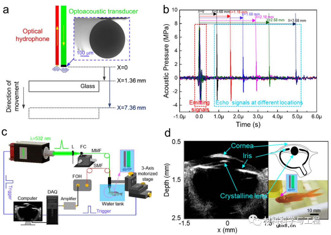 钙钛矿在光声换能器成功应用
