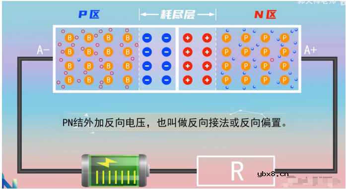二极管的基础知识