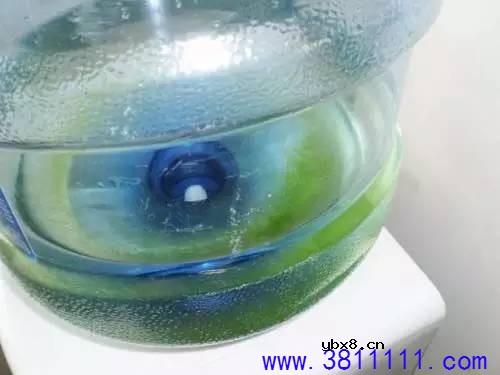 为什么越来越多家庭安装净水机？ 