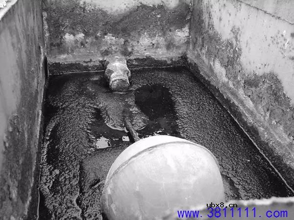 为什么越来越多家庭安装净水机？ 