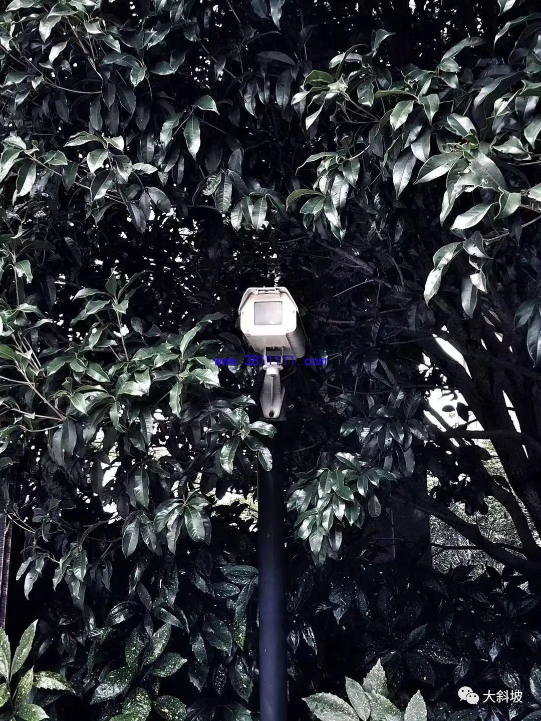 小区安装人脸识别，拒绝采集的我要快回不了家 