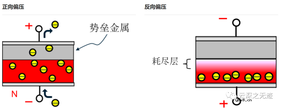 二极管的基础知识