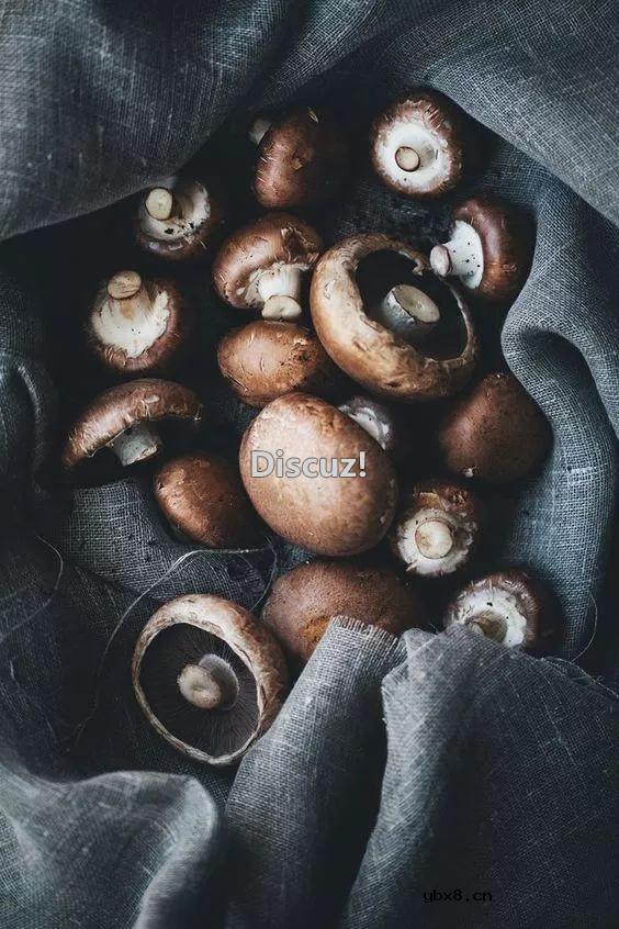 又一个省钱妙招，给生姜抹上盐，居然这么实用！ 