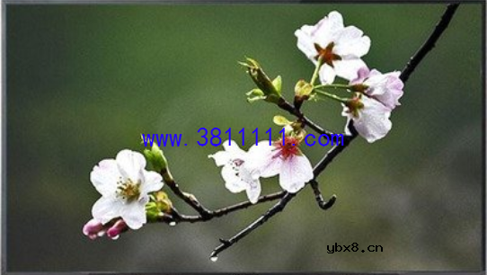 长虹3D48C2000iD液晶彩电电源板HSM35D-6M6故障现象有时正常,有时黑屏 