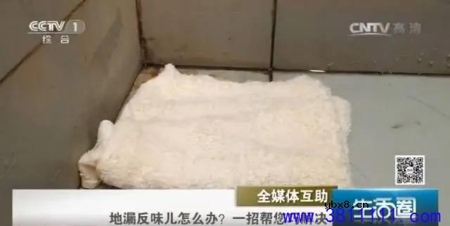 你家地漏反味儿了吗？厨房里的“它”还你清新空气！实用。 