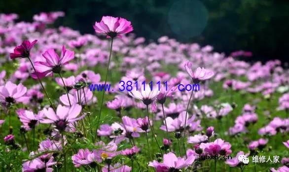 创维液晶电视检修8TT6机芯主要处理芯片之故障判断 