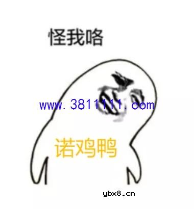 蓝牙的发展，蓝牙取名叫蓝牙？红牙不好听吗？ 