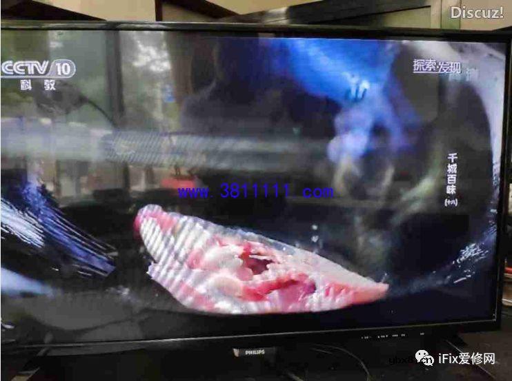 HV320WHB-NB1飞线修复 