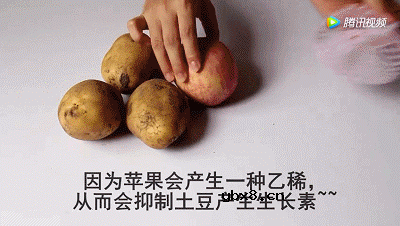 又一个省钱妙招，给生姜抹上盐，居然这么实用！ 