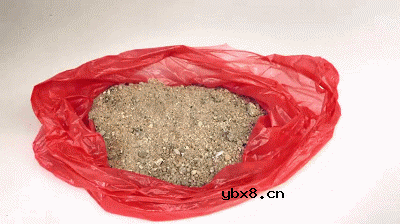 又一个省钱妙招，给生姜抹上盐，居然这么实用！ 