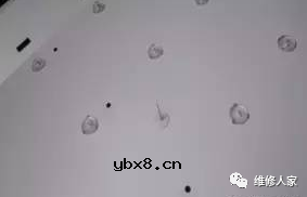 LED液晶电视机LED屏背光（灯条）的维修分享。 