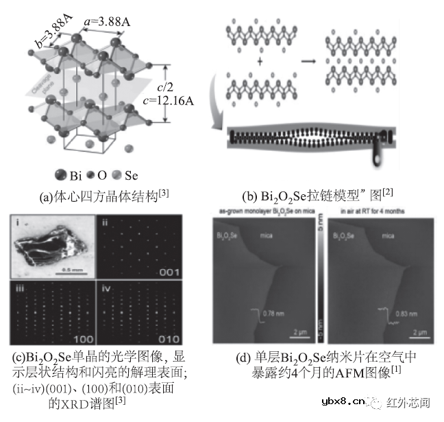 二维Bi₂O₂Se光电特性及其光电子器件研究进展综述