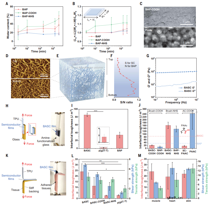 用于实时监测身体数据的聚合物半导体薄膜 用于实时监测身体数据的聚合物半导体薄膜