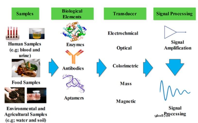 生物传感器助力血糖监测行业变革