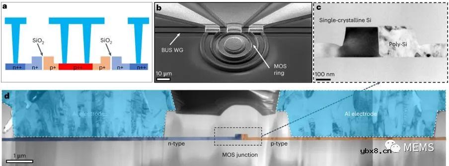 利用等离子体色散效应来增强硅基电光调制器的性能