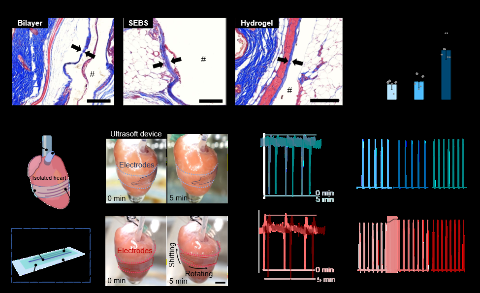 如何利用可扩展的柔性中间层制备超低模量电子器件