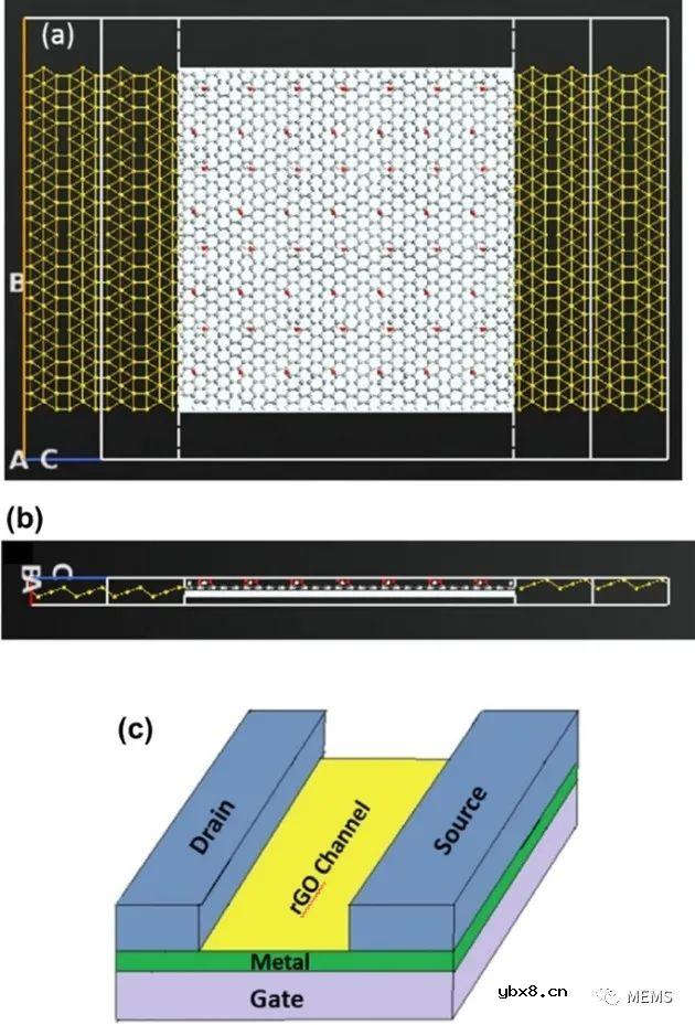 一种用于检测SARS-CoV-2的还原氧化石墨烯场效应晶体管生物传感器