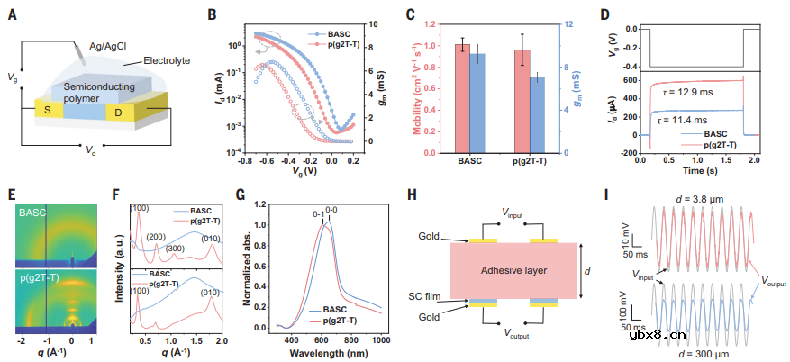 用于实时监测身体数据的聚合物半导体薄膜 用于实时监测身体数据的聚合物半导体薄膜