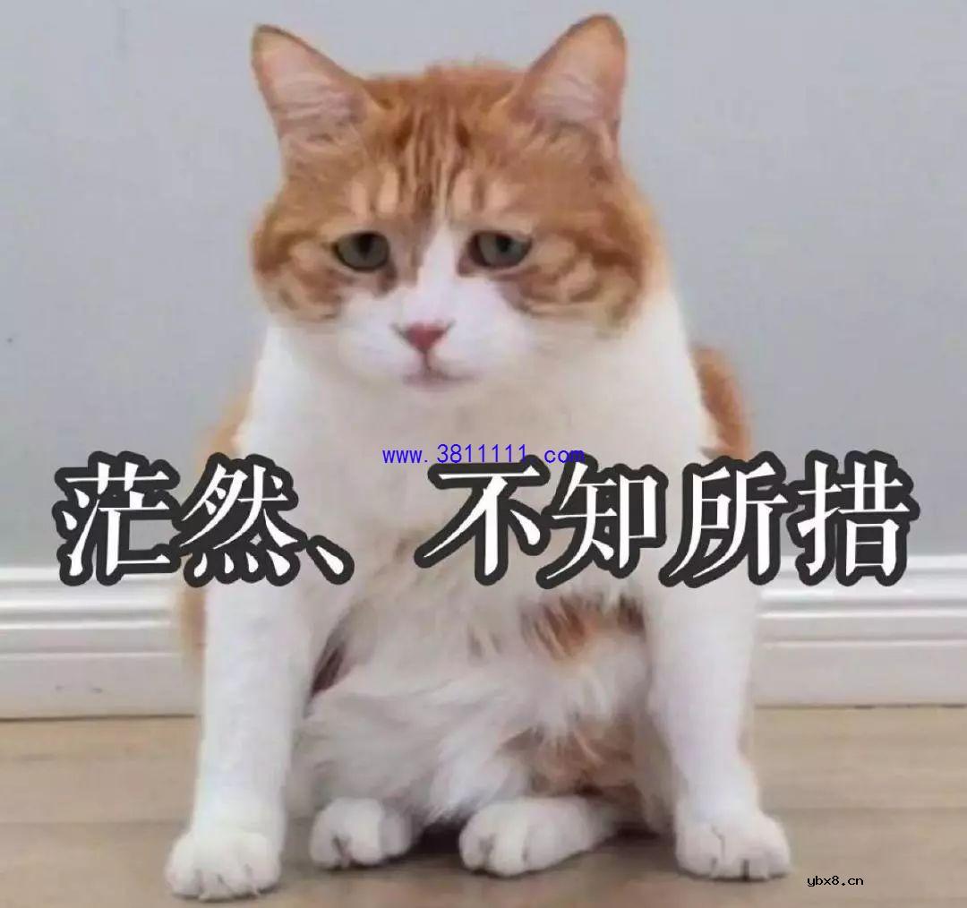 突发停电，该咋办 