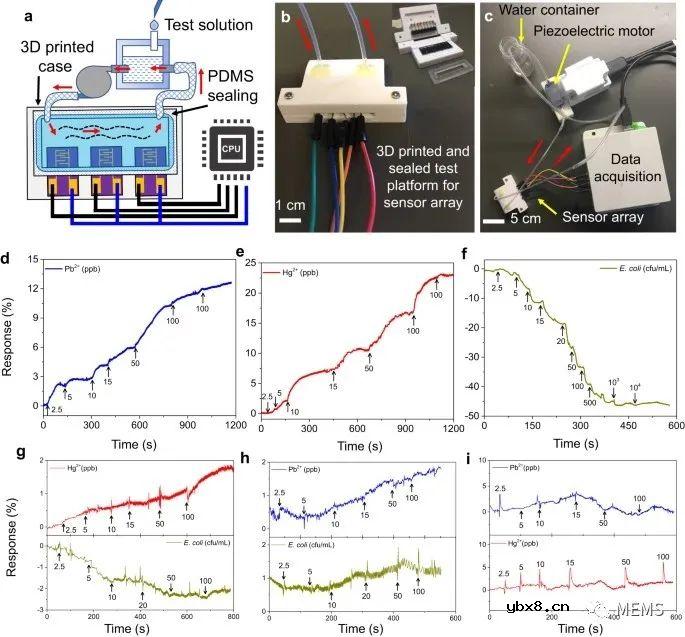 用于实时监测流动水中毒素的可扩展石墨烯传感器阵列