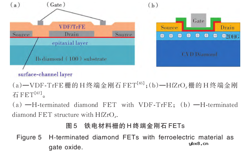 表面终端金刚石场效应晶体管的研究