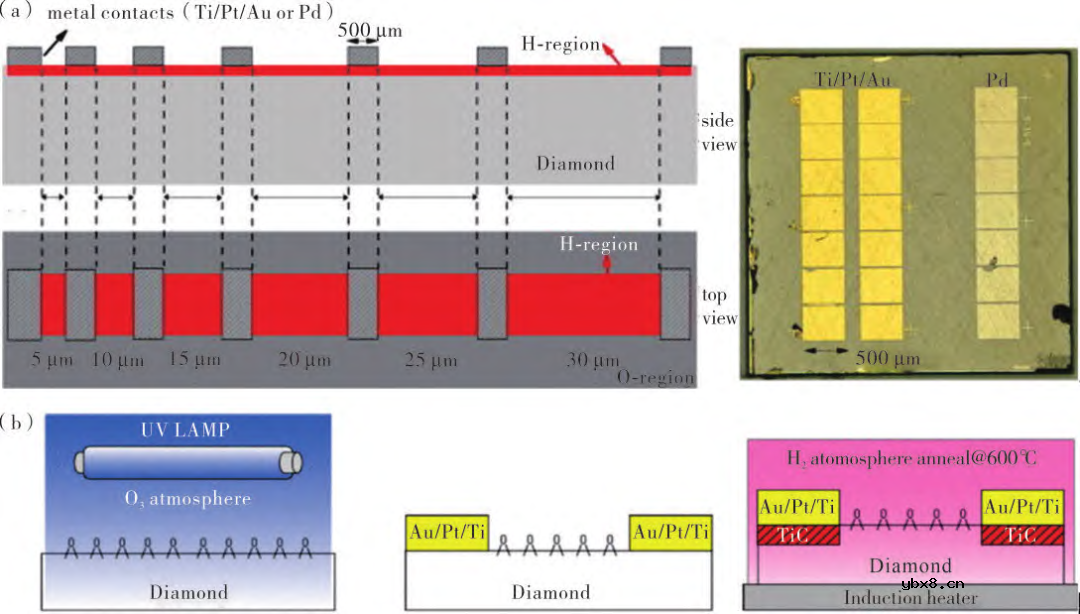 表面终端金刚石场效应晶体管的研究