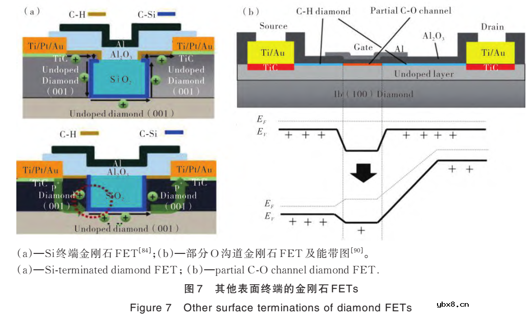 表面终端金刚石场效应晶体管的研究