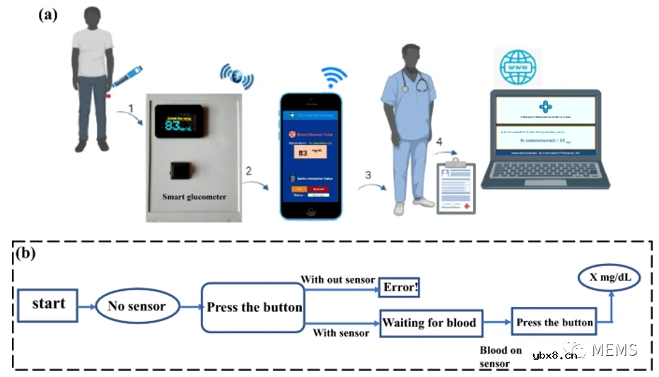 一种便携式双电极智能血糖仪可高灵敏度监测血糖浓度
