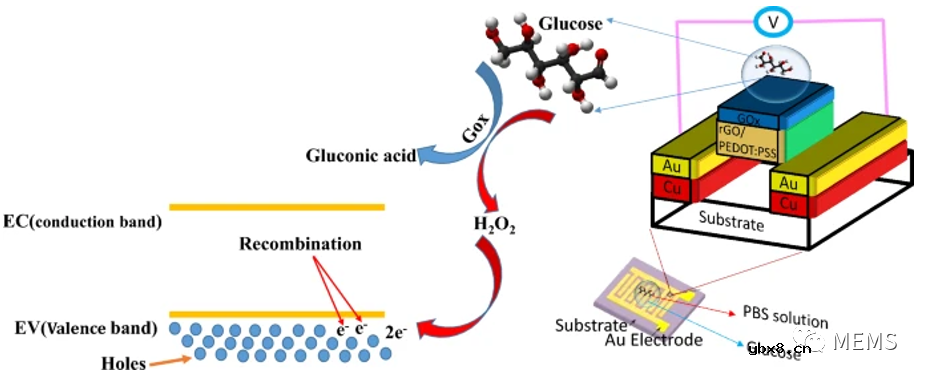 一种便携式双电极智能血糖仪可高灵敏度监测血糖浓度