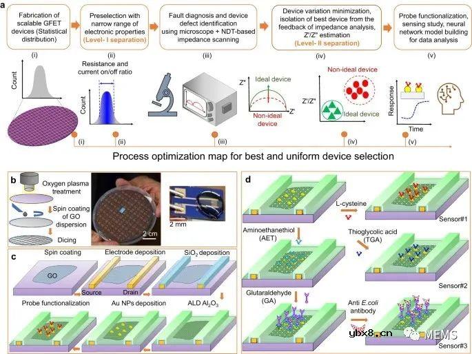 用于实时监测流动水中毒素的可扩展石墨烯传感器阵列