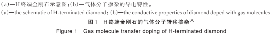 表面终端金刚石场效应晶体管的研究