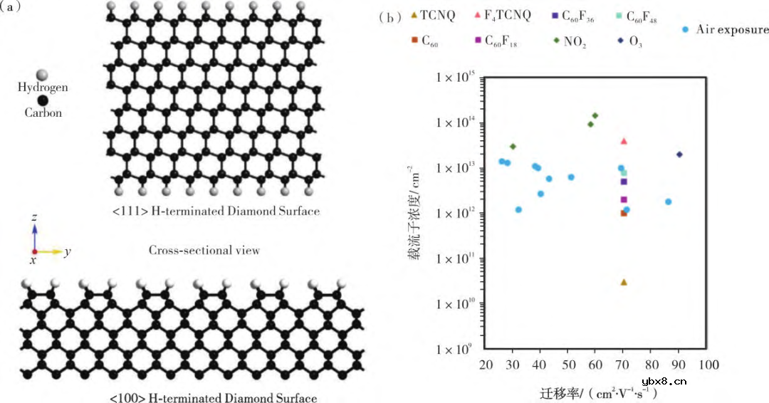 表面终端金刚石场效应晶体管的研究