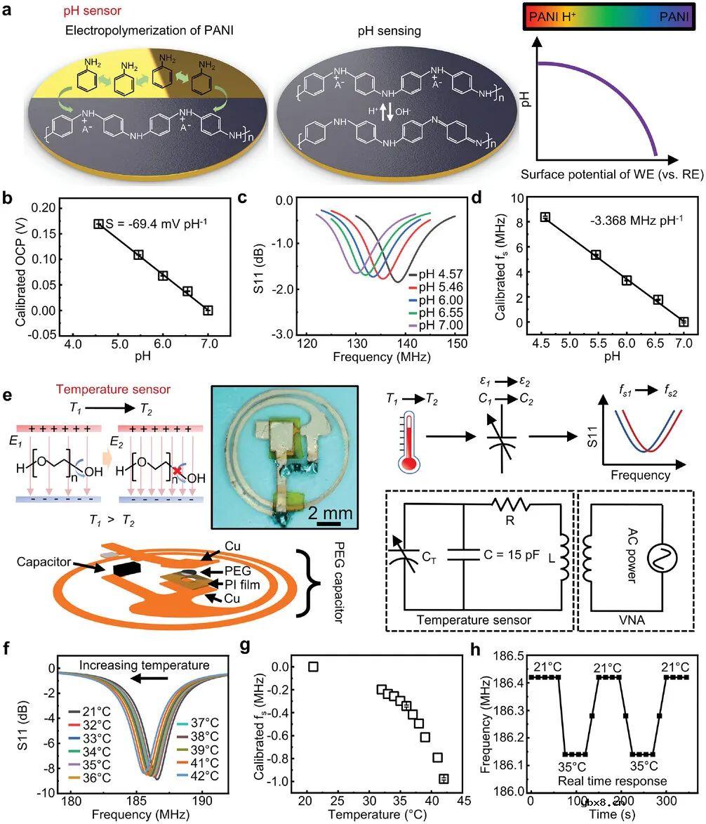 开发一种能够同时记录皮质醇浓度、pH值和温度的可拆卸汗液贴片