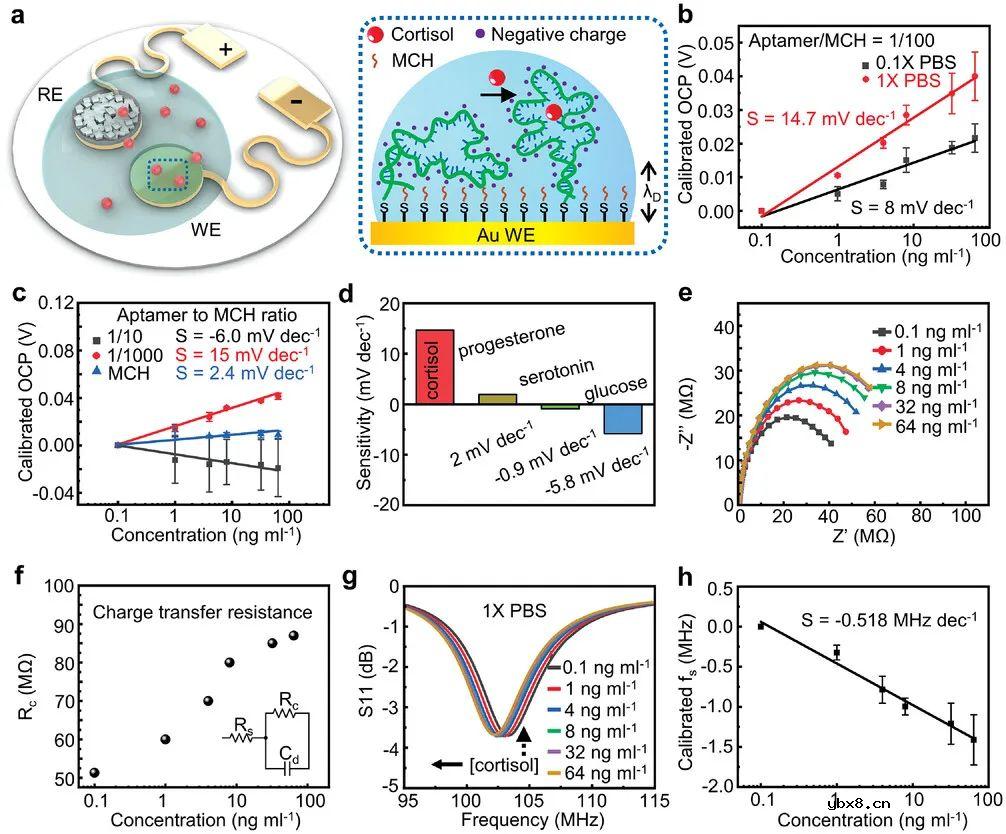 开发一种能够同时记录皮质醇浓度、pH值和温度的可拆卸汗液贴片
