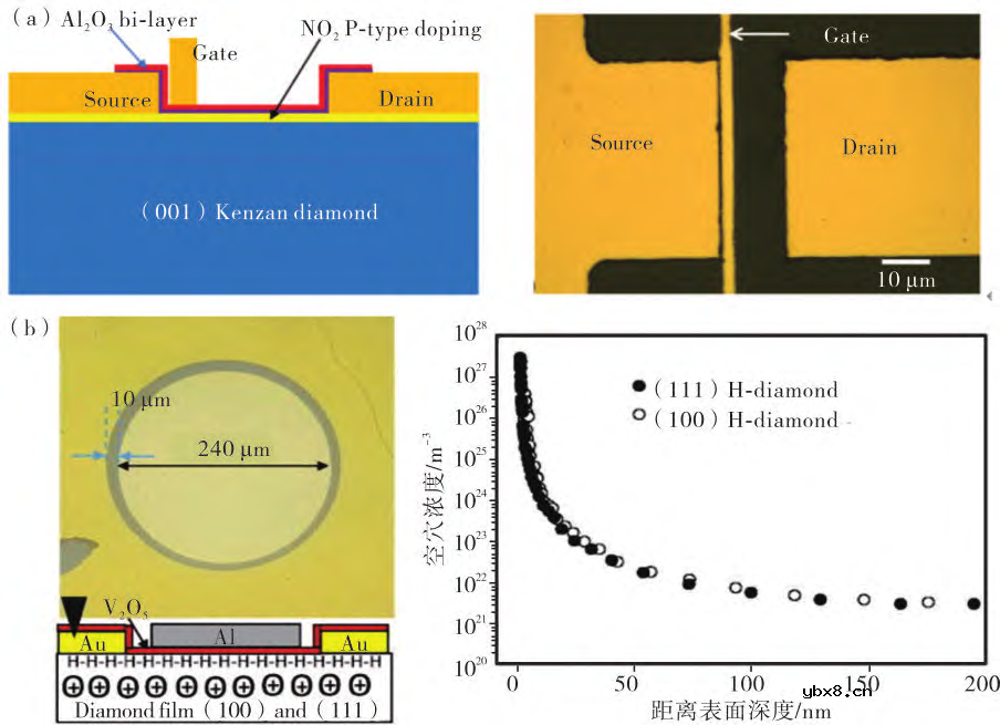 表面终端金刚石场效应晶体管的研究