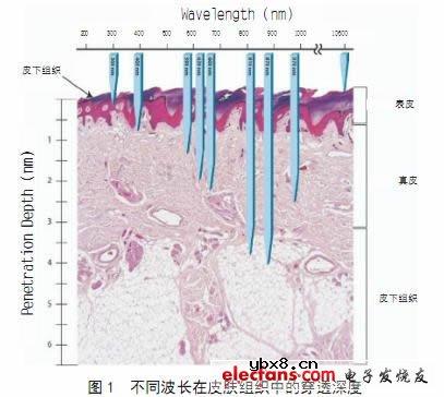 浅谈LED在皮肤医学中的应用 浅谈LED在皮肤医学中的应用
