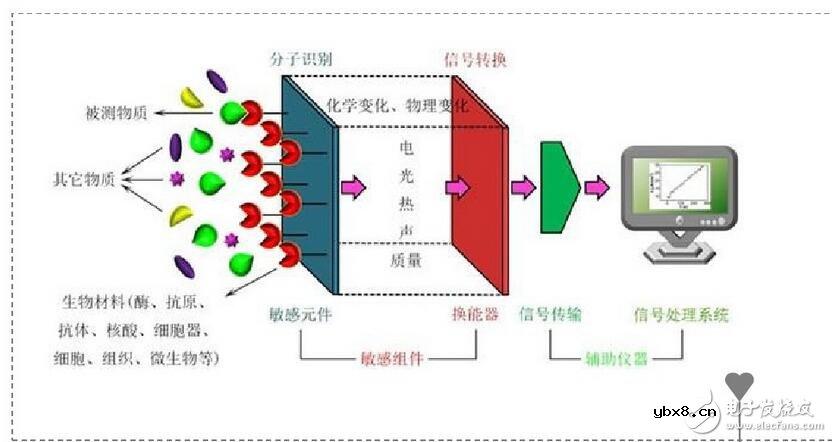 什么是场效应管生物传感器？场效应管生物传感器的作用，场效应管生物传感器原理