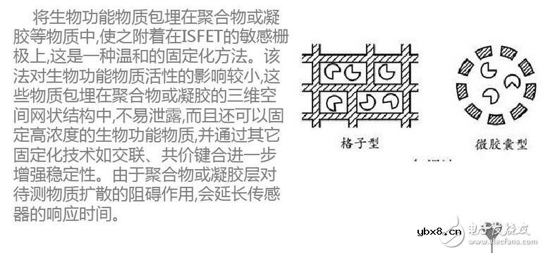 什么是场效应管生物传感器？场效应管生物传感器的作用，场效应管生物传感器原理