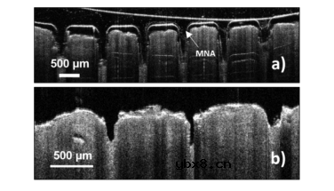 可以克服皮肤屏障功能的氧敏磷光微针阵列